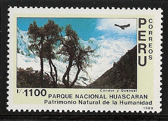 Parque Nacional Huascaran(Cóndor y quenuar)
