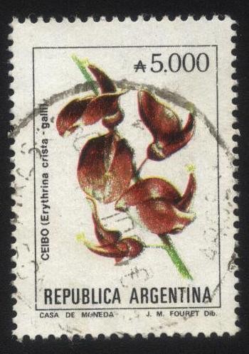 Flor de Ceibo. Erythrina crista - galli. 
