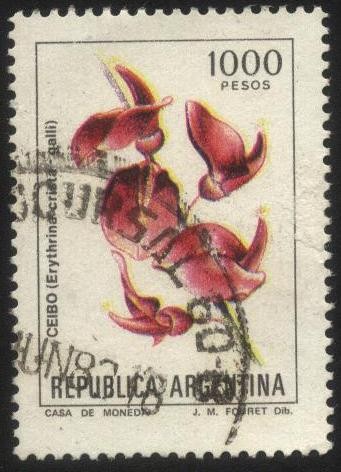 Flor de Ceibo. Erythrina crista - galli. 