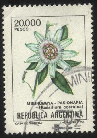Stamp: Flor de Pasionaria ( Mburucuyá ). Passiflora coerulea. 20000 peso of  Argentina America