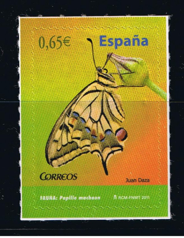 Edifil  4625  Fauna  Mariposas  