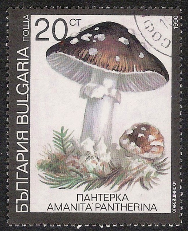 SETAS-HONGOS: 1.120.033,02-Amanita pantherina -Dm.991.9-Y&T.3354-Mch.3888-Sc.3599