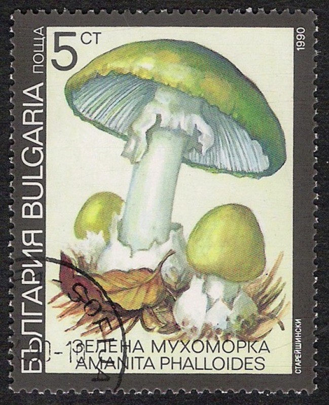 SETAS-HONGOS: 1.120.031,05-Amanita phalloides -Dm.991.7-Y&T.3352-Mch.3886-Sc.3597