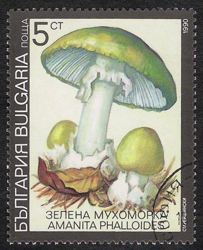 SETAS-HONGOS: 1.120.031,06-Amanita phalloides -Dm.991.7-Y&T.3352-Mch.3886-Sc.3597