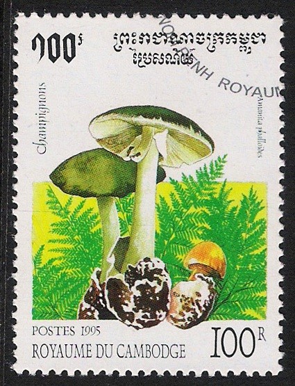SETAS-HONGOS: 1.124.011,01-Amanita phalloides -Dm.995.19-Y&T.1252-Mch.1503-Sc.1426