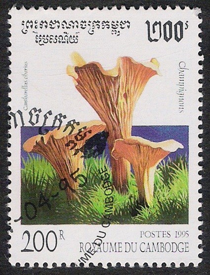 SETAS-HONGOS: 1.124.012,02-Cantharellus cibarius -Dm.995.20-Y&T.1253-Mch.1504-Sc.1427