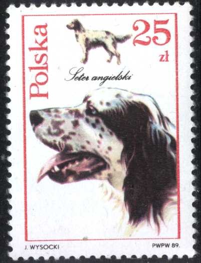 Perros