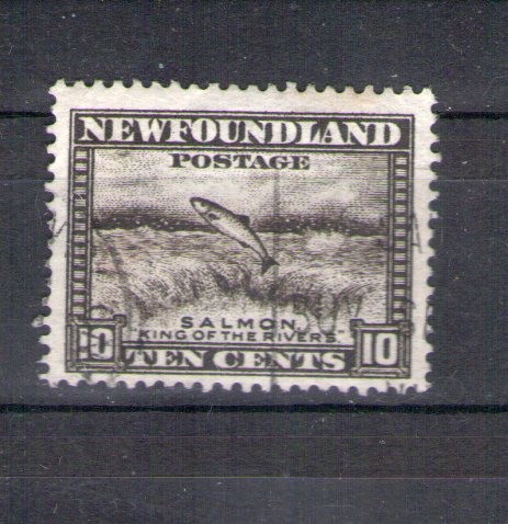 Newfoundland