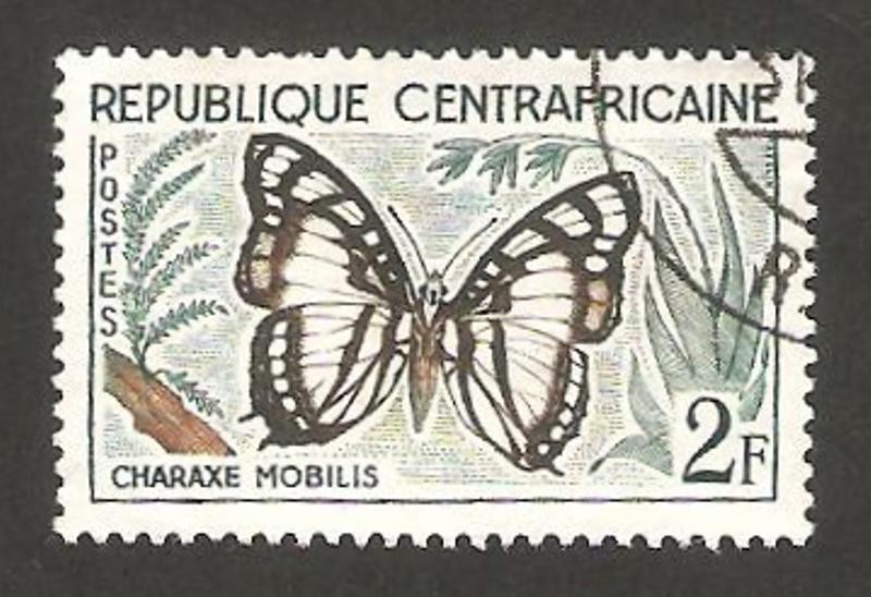 mariposa charaxe mobilis