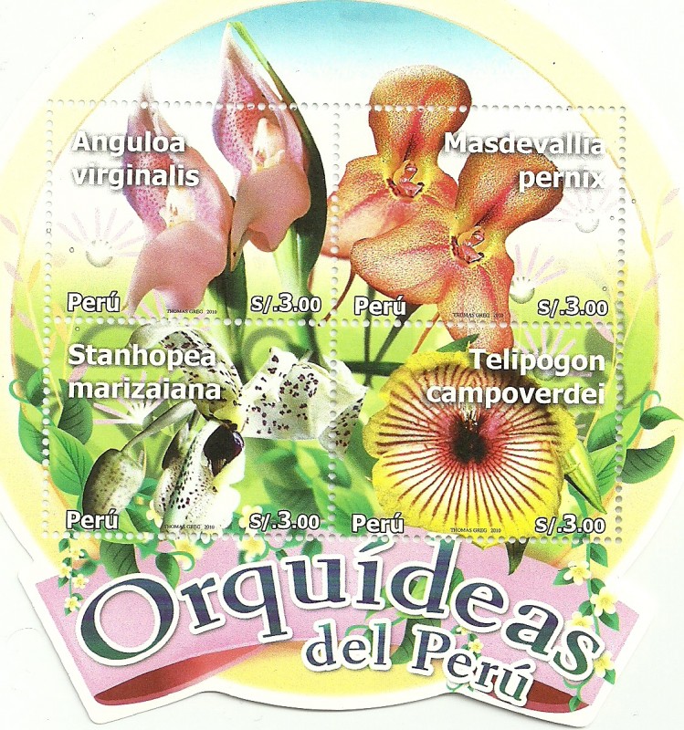 Orquídeas del Perú