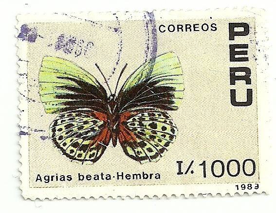 Mariposas del Peru 1989