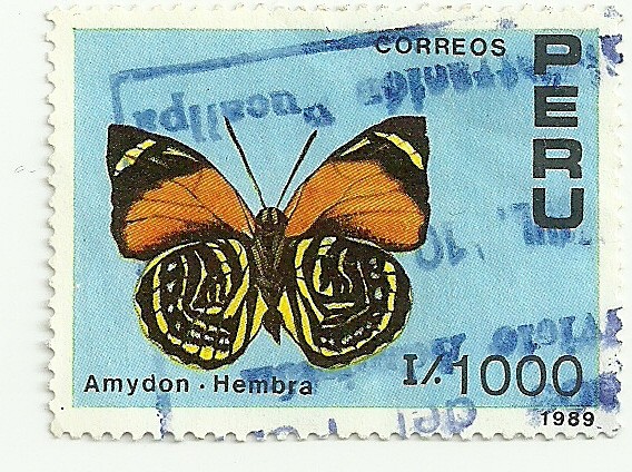 Mariposas del Peru 1989