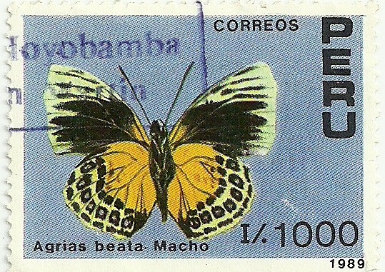 Mariposas del Perú 1989