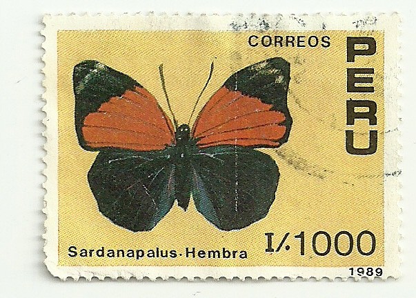 Mariposas del Perú 1989