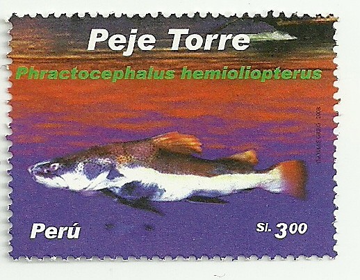 Peces de rio del Perú