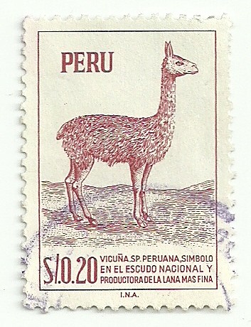 Vicuña peruana: simbolo en el escudo nacional y productora de la mas fina lana (sello de 1962 impres