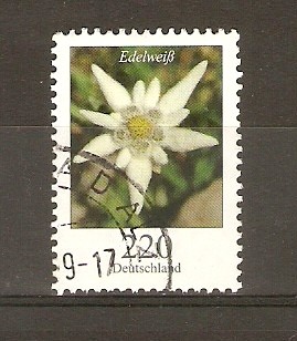 EDELWEISS