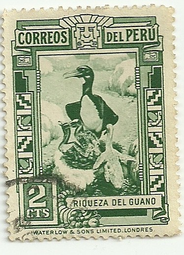 Riqueza del guano