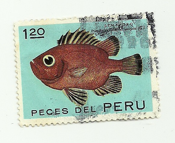 Peces varios del Perú