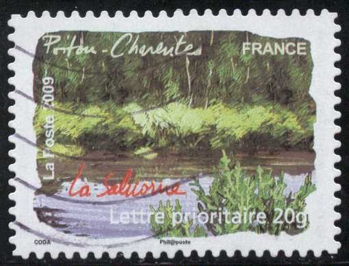 Flora del Sur - Poitou-Charente, Salicornia