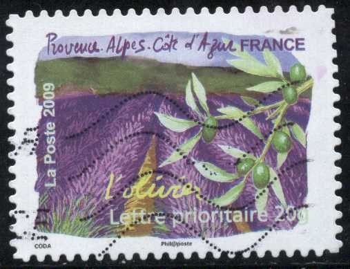 La flora del Sur - Provence, Alpes Côte d'Azur, Olivo
