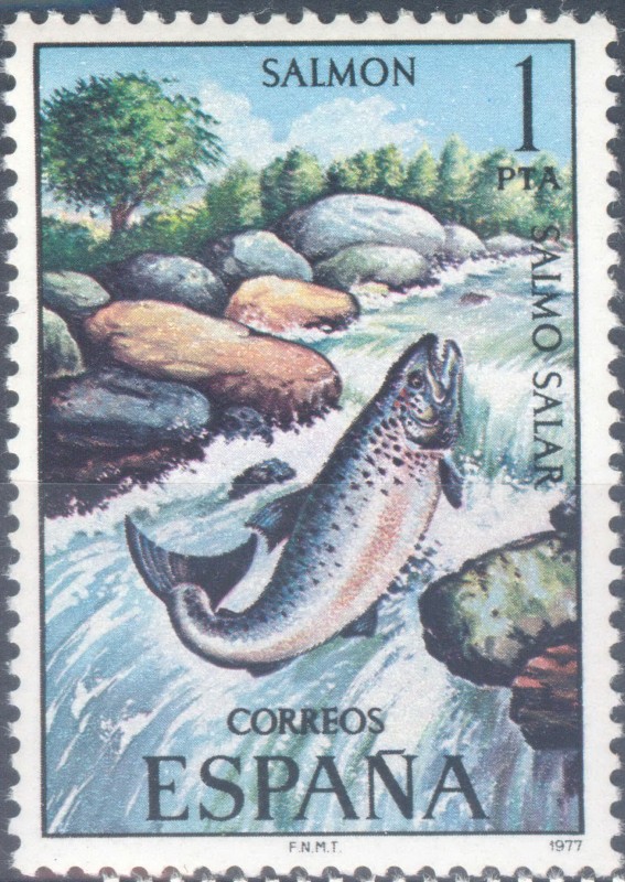 ESPAÑA 1977_2403 Fauna Hispánica. Peces continentales españoles. Scott 2031 $0.2