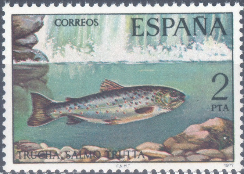 ESPAÑA 1977_2404 Fauna Hispánica. Peces continentales españoles. Scott 2032 $0.2