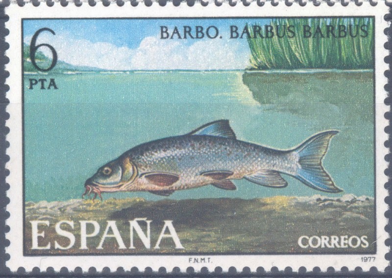 ESPAÑA 1977_2407 Fauna Hispánica. Peces continentales españoles. Scott 2035