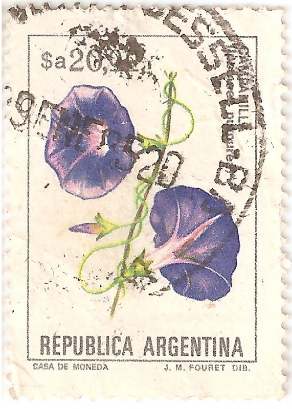 Flores - Campanilla