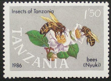 insectos de tanzania