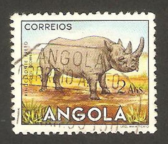 un rinoceronte
