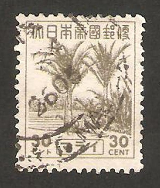 malacca (ocupación japonesa) - palmeras