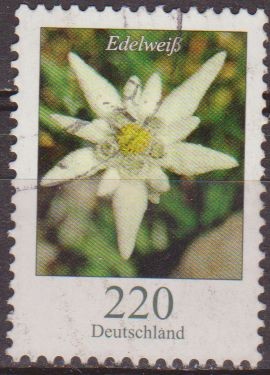 ALEMANIA 2005 Scott 2322 Sello Flora Flor Edelweiss 220 Usado  Michel 2547Allemagne Duitsland German