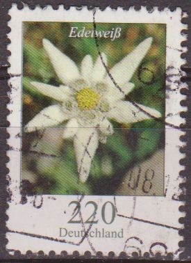 ALEMANIA 2005 Scott 2322 Sello Flora Flor Edelweiss 220 Usado  Michel 2547Allemagne Duitsland German