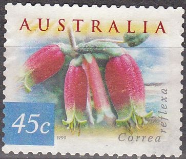 AUSTRALIA 1999 Scott 1734 Sello Flores Flowers Correa Reflexa usado Michel 1805 