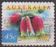 AUSTRALIA 1999 Scott 1734 Sello Flores Flowers Correa Reflexa usado Michel 1805 