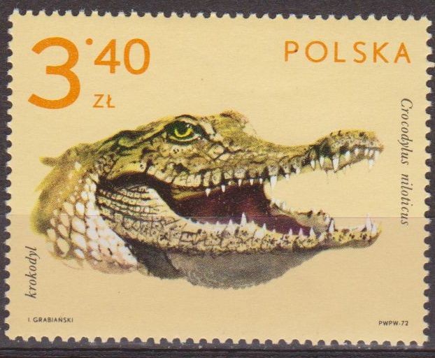 Polonia 1972 Scott 1893 Sello Nuevo Fauna Animales de Zoo Cocodrilo Crocodylus Miloticus Polska