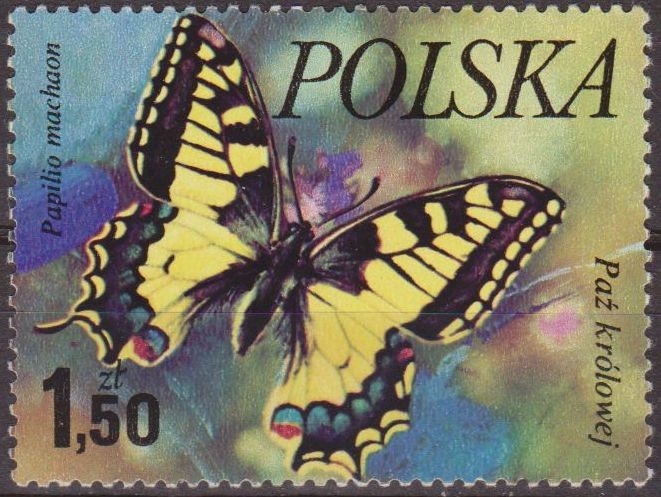 Polonia 1977 Scott 2229 Sello Nuevo Mariposas Butterflies Papilio Machaon Polska Poland Polen