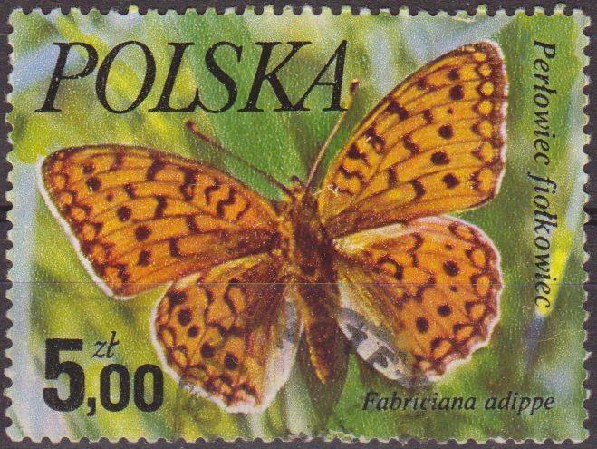 Polonia 1977 Scott 2231 Sello Mariposas Butterflies Fabriciana Adippe Usado Polska Poland Polen Polo