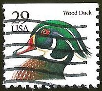 WOOD DUCK