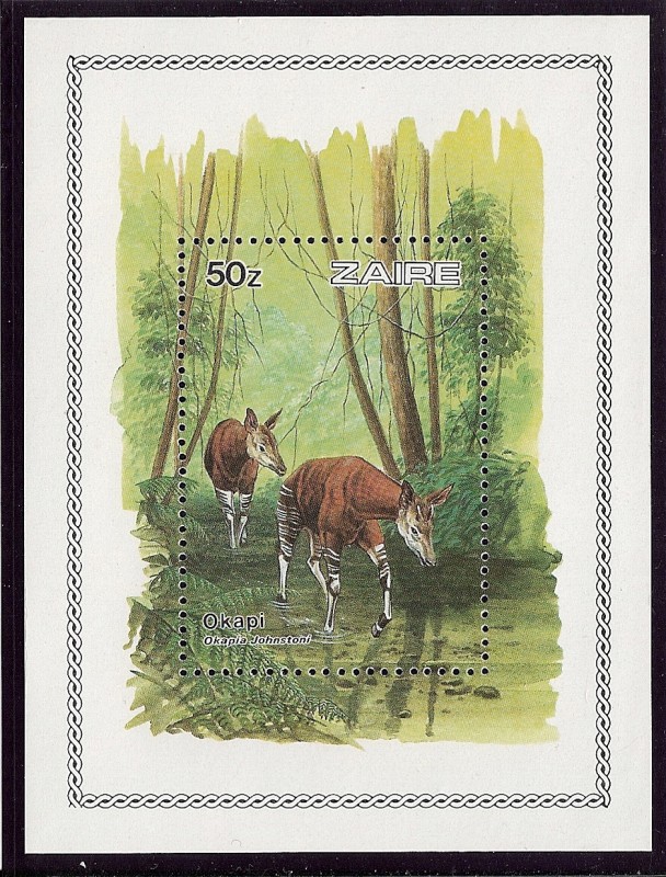 Reserva de la fauna de los okapis