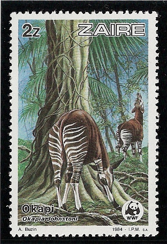 Reserva de la fauna de los okapis