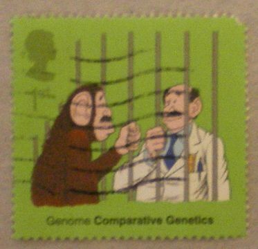 gerome comparative genetics