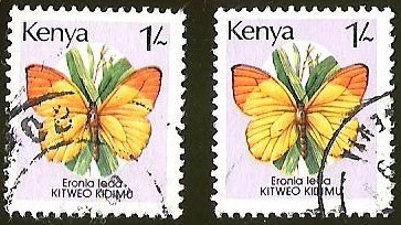 MARIPOSAS - KITWEO KID MU