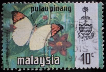 Estado de Pulau-Pinang / Mariposa Gran Consejo Naranja