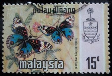 Estado de Pulau-Pinang / Mariposa Azul Pensamiento