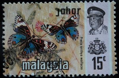 Estado de Johor / Mariposa Azul Pensamiento