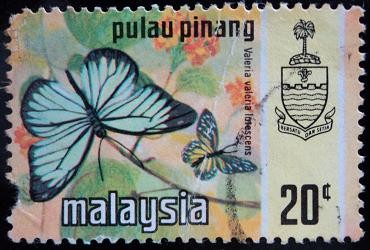 Estado de Pulau-Pinang / Mariposa Monarca