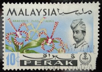Estado de Perak / Orquídea Arachnis Flos Aeris