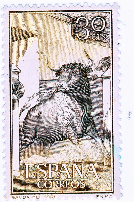 toro